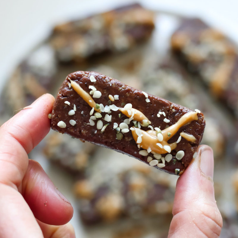Cacao peanut butter bars Meg De Jong Nutrition